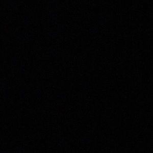 Meet your Posher, Willie